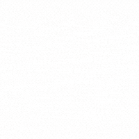 Cleanser